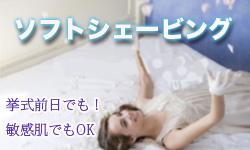 ソフトシェービング